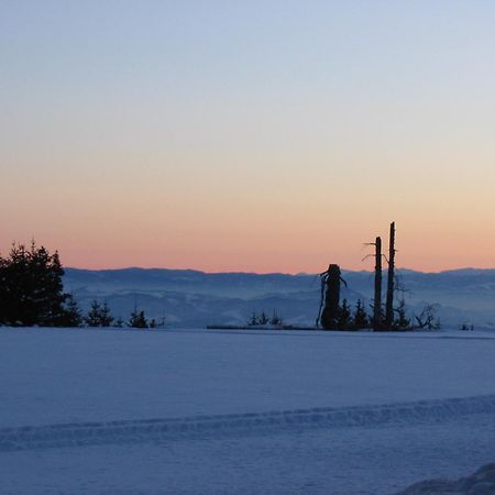 Villa Kostic Kopaonik Buitenkant foto