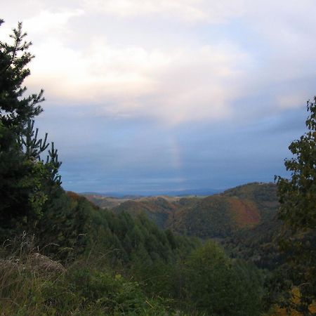 Villa Kostic Kopaonik Buitenkant foto