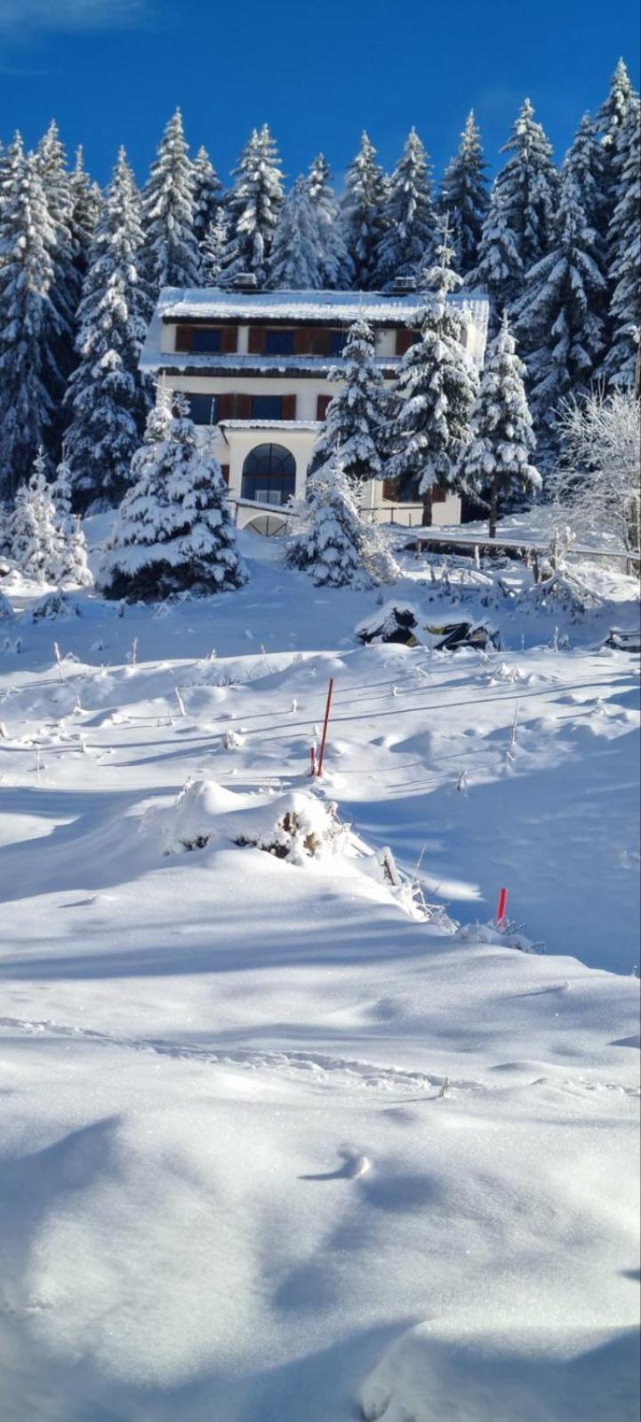 Villa Kostic Kopaonik Buitenkant foto