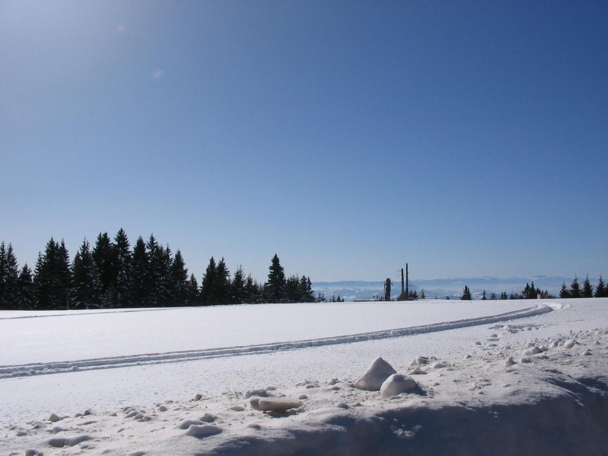 Villa Kostic Kopaonik Buitenkant foto