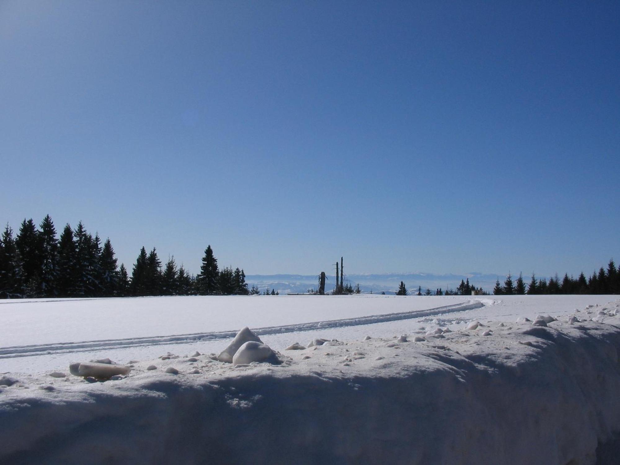 Villa Kostic Kopaonik Buitenkant foto