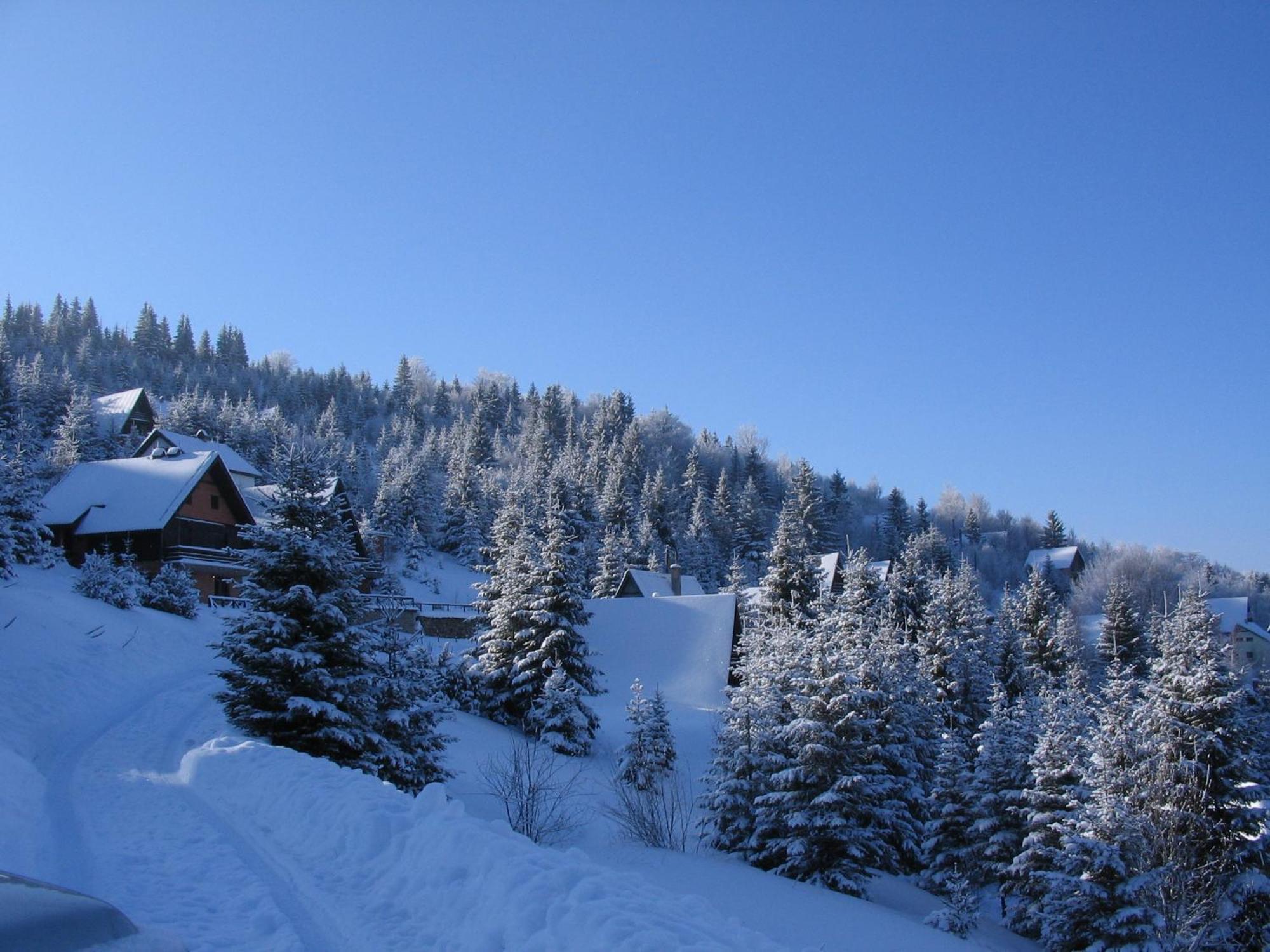 Villa Kostic Kopaonik Buitenkant foto