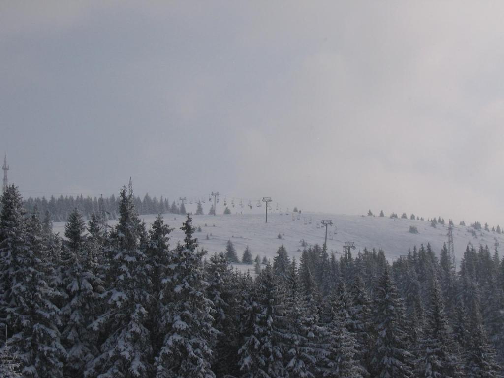 Villa Kostic Kopaonik Buitenkant foto