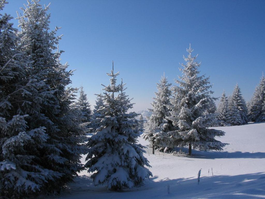 Villa Kostic Kopaonik Buitenkant foto