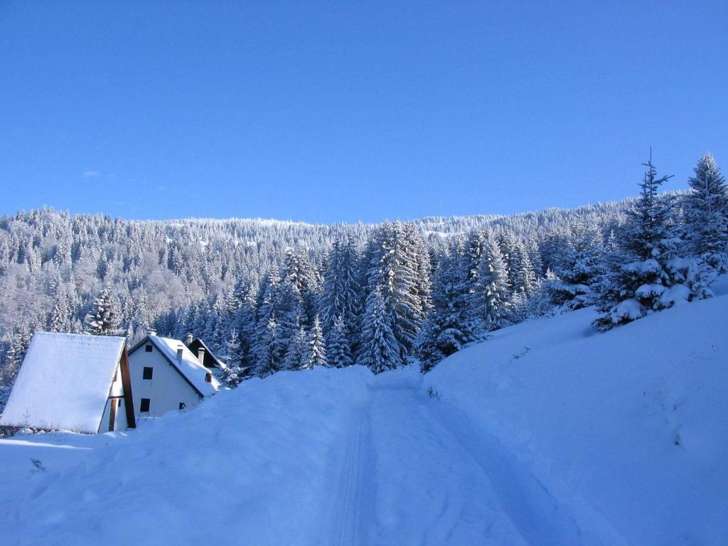 Villa Kostic Kopaonik Buitenkant foto