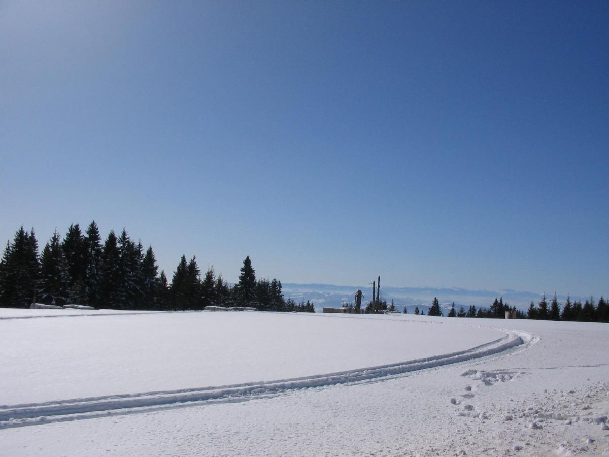 Villa Kostic Kopaonik Buitenkant foto